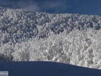 2017-12-29 V. del Morretano 050